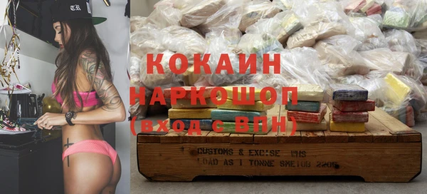 ешки Няндома