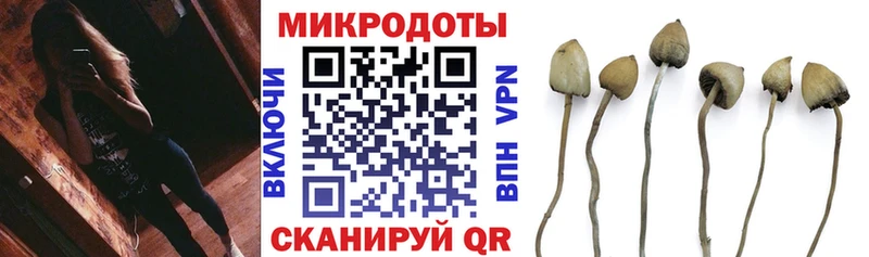 Галлюциногенные грибы Cubensis Урень